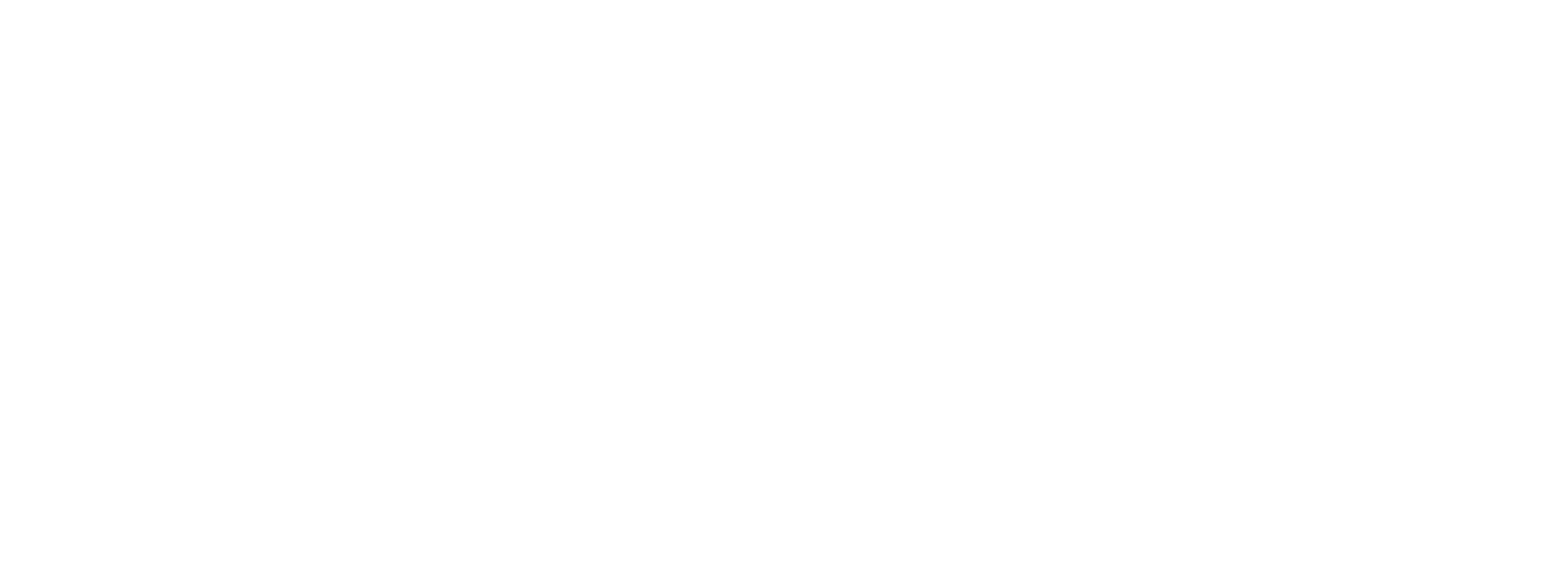 PASSENGER-CARGO VANS